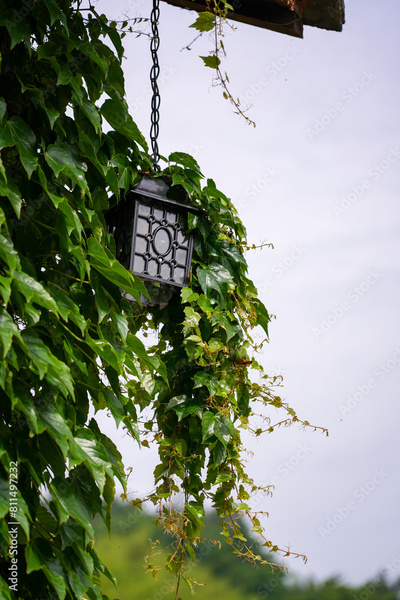 image to crop