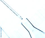 preview cold