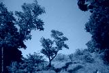 preview cold