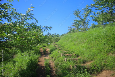 image to crop