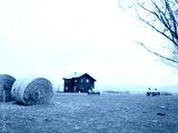 preview cold