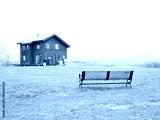 preview cold