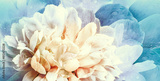 preview original