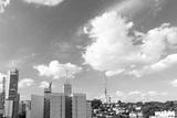 preview bw