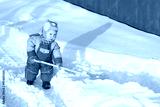 preview cold