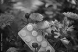 preview bw