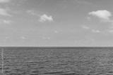 preview bw