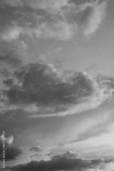 preview bw