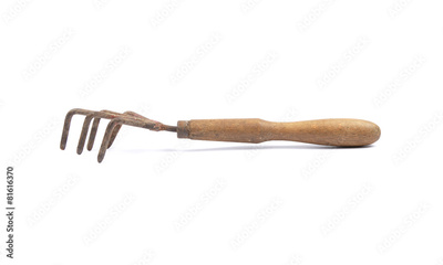 image to crop