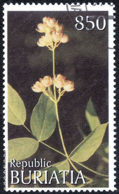 image to crop