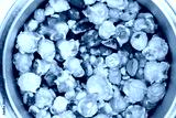 preview cold