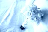 preview cold