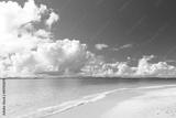 preview bw