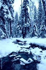preview cold