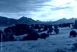 preview cold