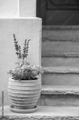preview bw