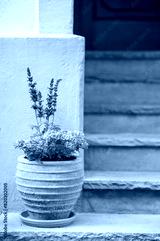 preview cold