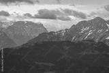 preview bw