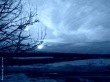 preview cold