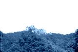 preview cold