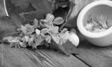preview bw