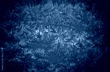 preview cold