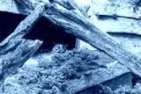preview cold