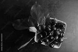 preview bw