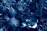 preview cold