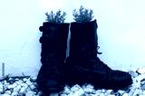 preview cold