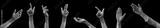 preview bw