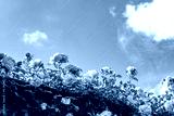 preview cold