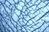 preview cold