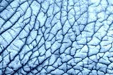 preview cold