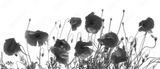 preview bw