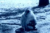 preview cold