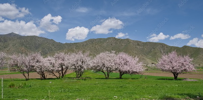 image to crop