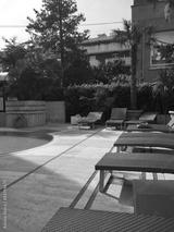 preview bw