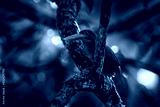preview cold