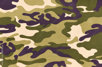 image to crop