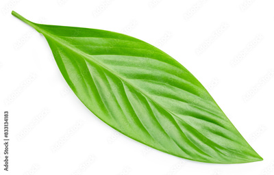 image to crop