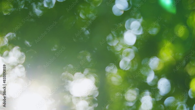 image to crop