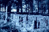 preview cold