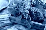 preview cold
