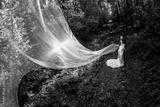 preview bw