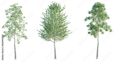 image to crop