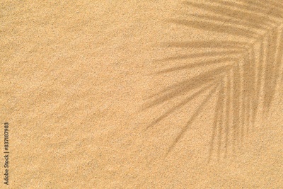image to crop