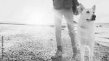 preview bw
