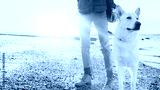 preview cold