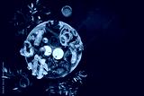 preview cold